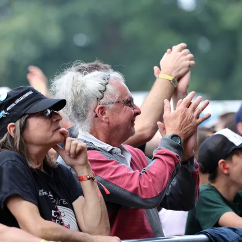 Vieilles Charrues 2024