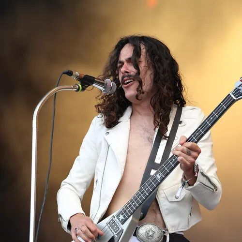 Vieilles Charrues 2024