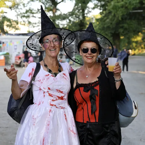 Vieilles Charrues 2024