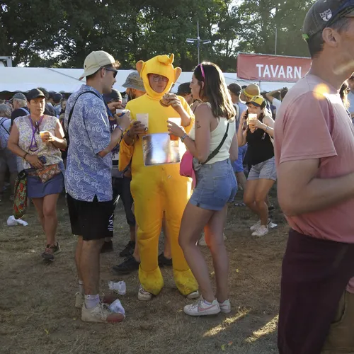 Vieilles Charrues 2022