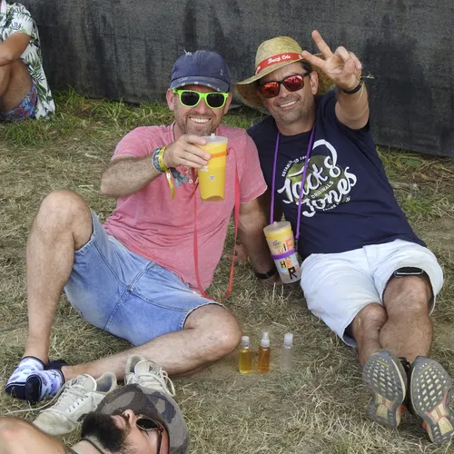 Vieilles Charrues 2022