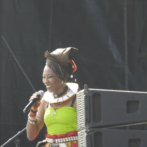 Vieilles Charrues 2022