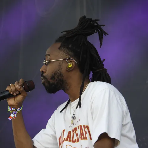 Vieilles Charrues 2022