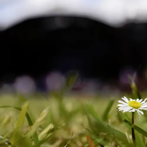 Vieilles Charrues 2016