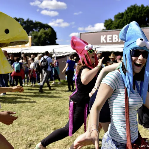 Vieilles Charrues 2016