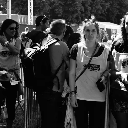 Vieilles Charrues 2016