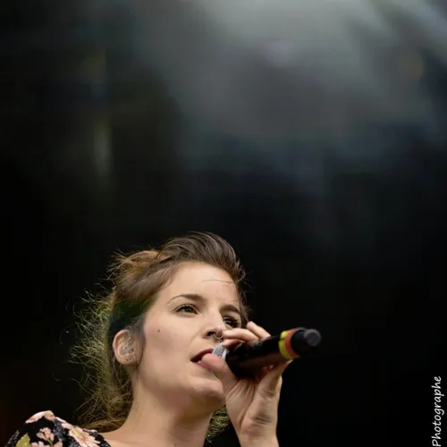 Vieilles Charrues 2017