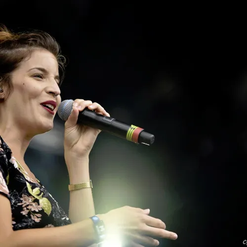 Vieilles Charrues 2017