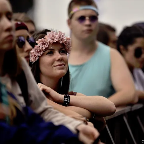 Vieilles Charrues 2017