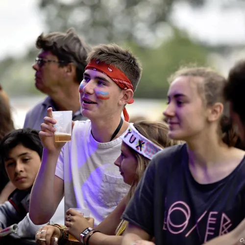 Vieilles Charrues 2017