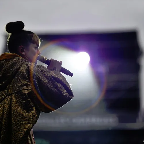 Vieilles Charrues 2017