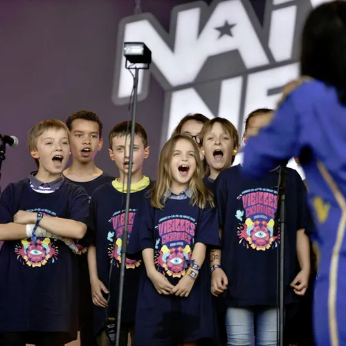 Vieilles Charrues 2017