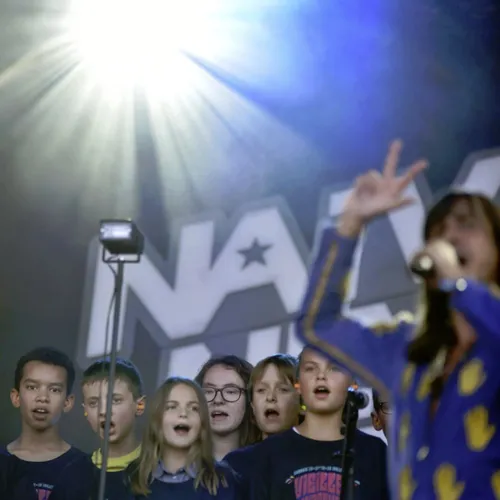 Vieilles Charrues 2017