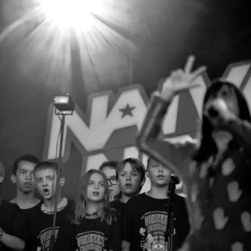 Vieilles Charrues 2017