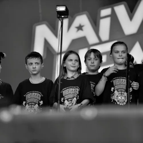 Vieilles Charrues 2017