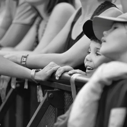 Vieilles Charrues 2017