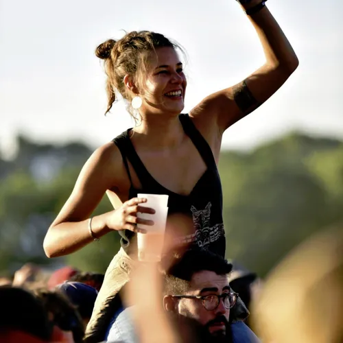 Vieilles Charrues 2017