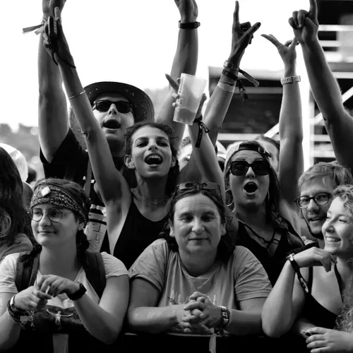 Vieilles Charrues 2017