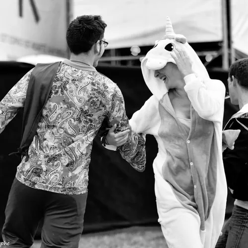 Vieilles Charrues 2017