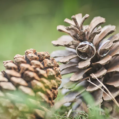 Loïc photographe 33