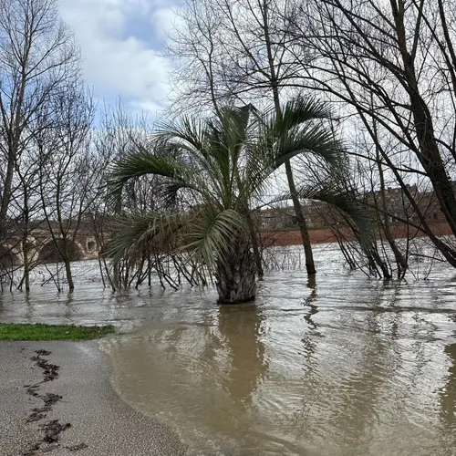 4 - Crue de la Garonne (février 2026)