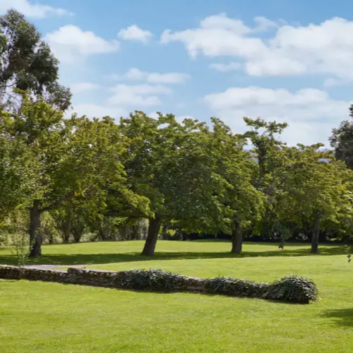 9-2/ Antoine Dupont Airbnb