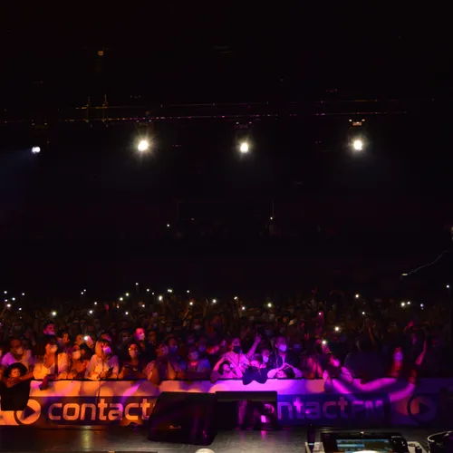 Contact VIP - Pasino - 220521