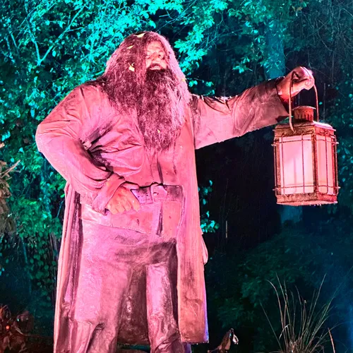 3. Hagrid ouvre la voie