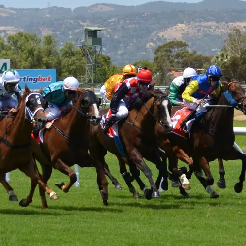 Les pronostics hippiques de Sébastien Mortagne :  Samedi 16 Septembre