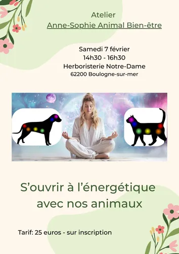 Atelier S'ouvrir à l'énergétique avec nos animaux