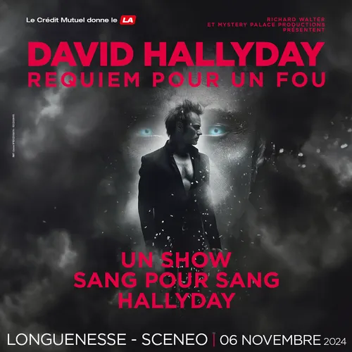 Requiem pour un fou - David Hallyday La tournée Cent pour Cent...