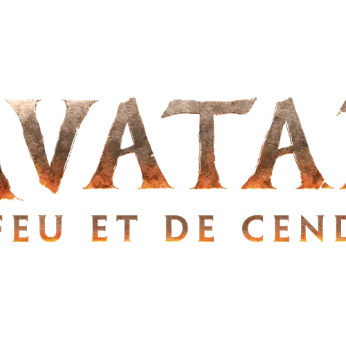 Cinémas de la région : Bilan 2025