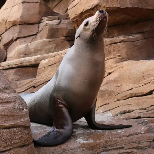 Boulogne-sur-Mer : disparition de l’une des figures historiques de...