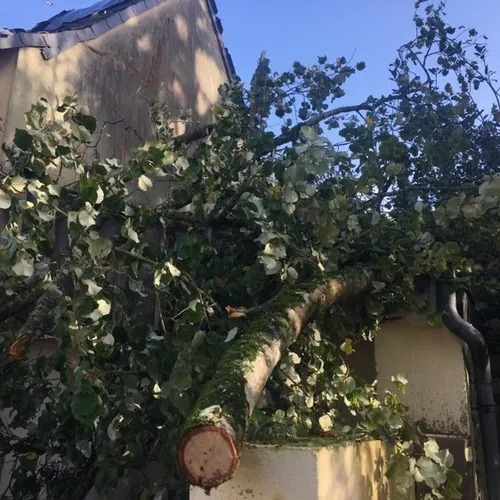 Tempête Ciaran - Maison Marans véhicule_11 02 23_Marie Chevillard