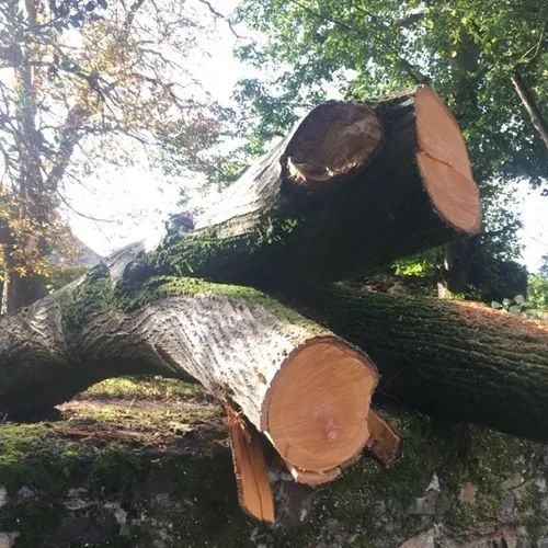 Tempête Ciaran - Maison Marans véhicule_11 02 23_Marie Chevillard