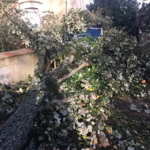 Tempête Ciaran - Maison Marans véhicule_11 02 23_Marie Chevillard