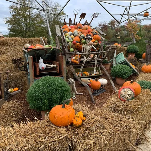 Fête Automne Terra Botanica2_02 10 24_AVC