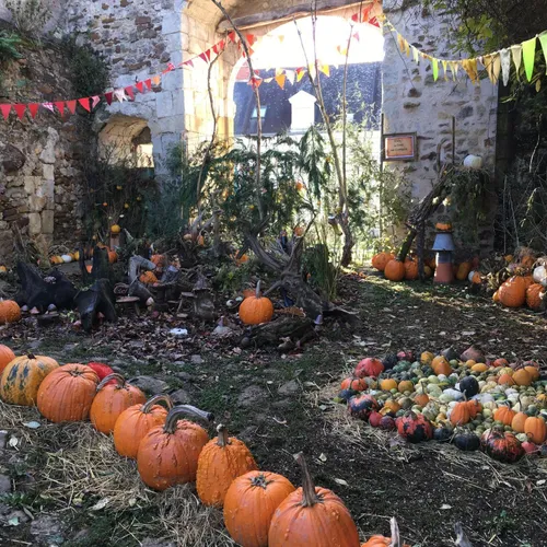 Hortomnales - Déco_19 10 23_AVC