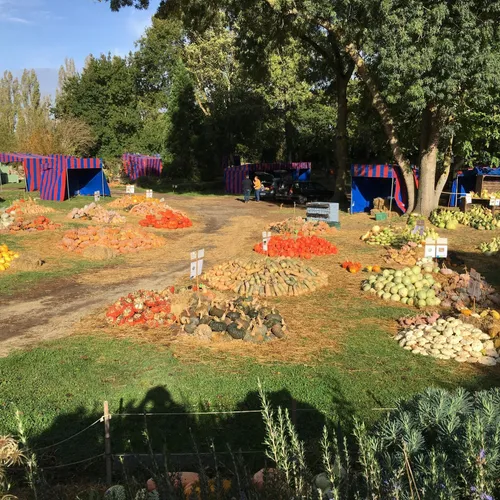 Hortomnales - Cucurbitacée_19 10 23_AVC