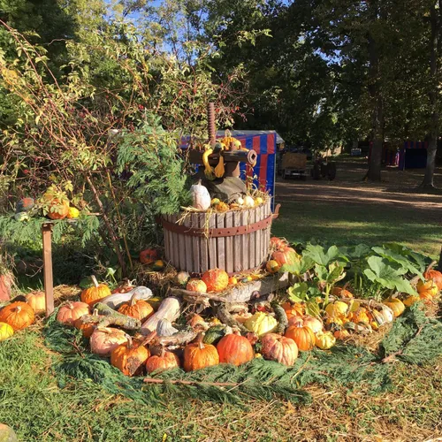 Hortomnales -- Déco3_19 10 23_AVC