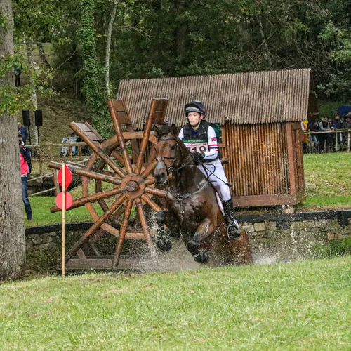 Le passage du Gué est un moment attendu au Mondial du Lion.