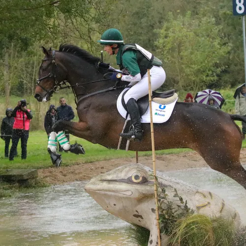 L'obstacle de la grenouille, dans l'eau.