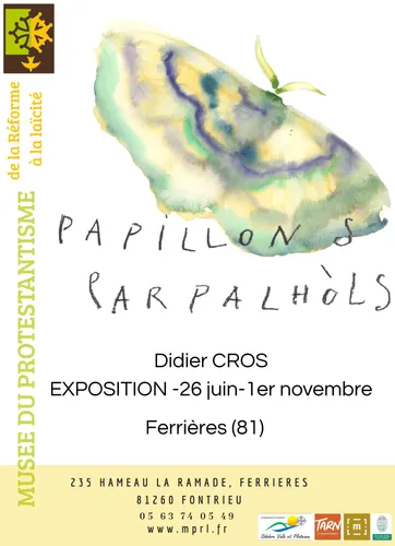 Exposition "Papillons, parpalhols", Didier Cros