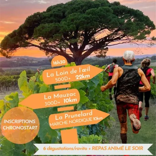 Trail du vignoble Gaillacois