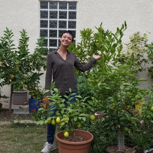 Un projet vitaminé !