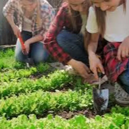Les bons conseils jardin de printemps...