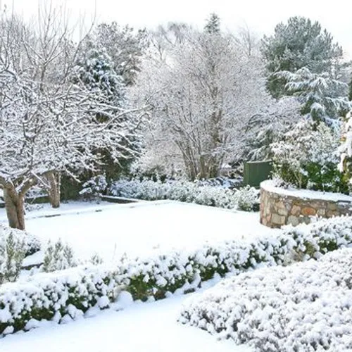 La chronique du jardin est de retour !