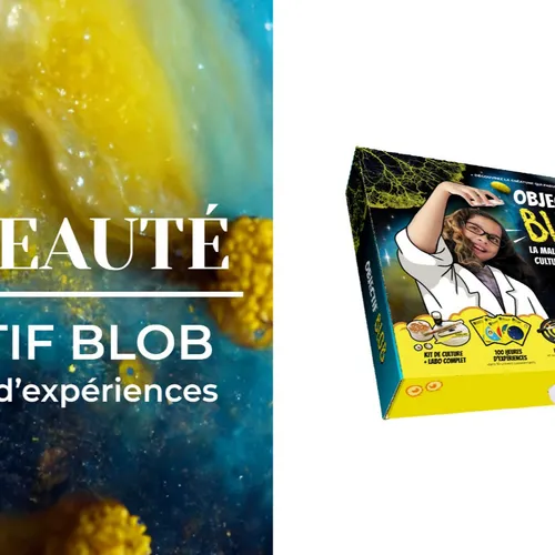 "Blobshop" c'est une jeune société originaire de Mazamet...