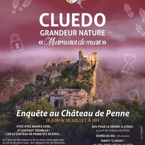 Le chateau de Penne...