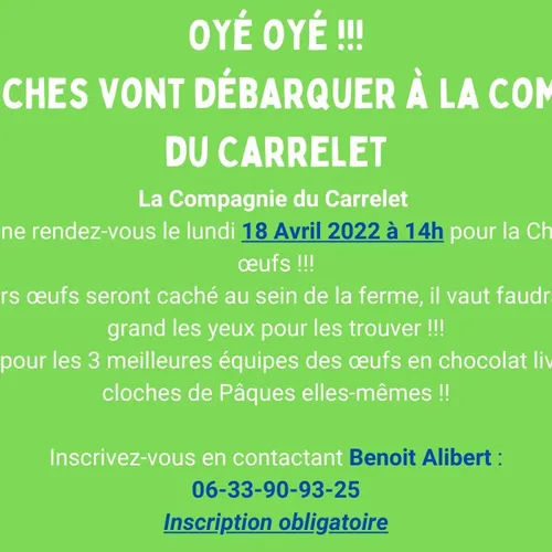 La chasse aux oeufs est bientôt ouverte !